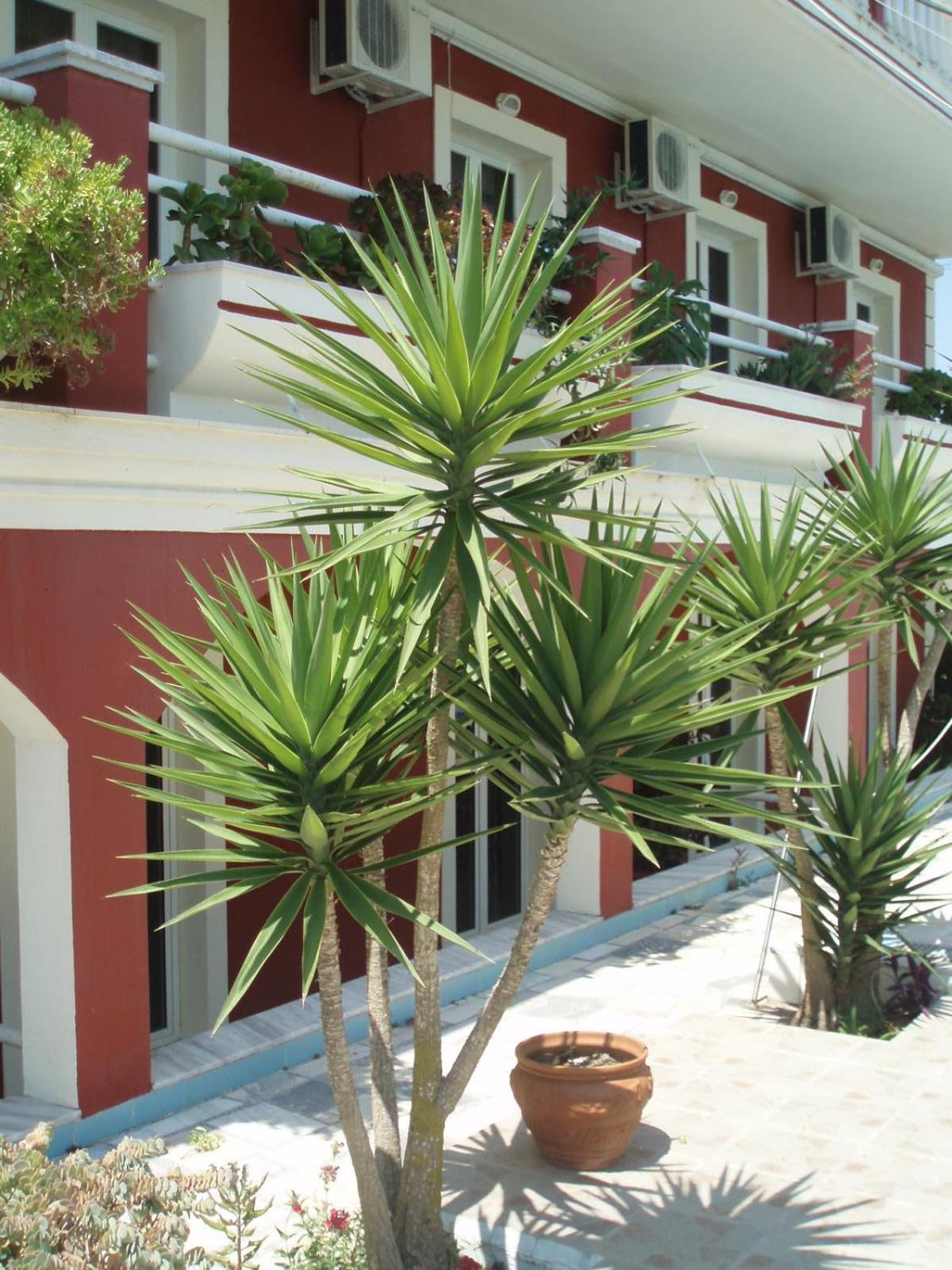 Crystal Apartment Kavos Bagian luar foto