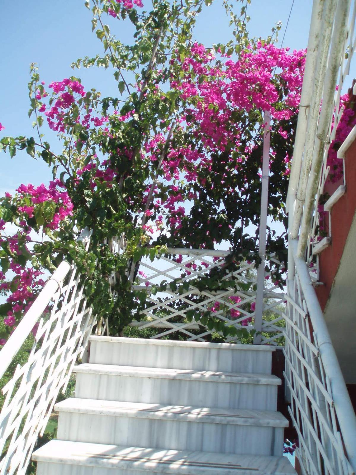 Crystal Apartment Kavos Bagian luar foto