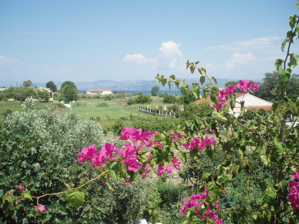 Crystal Apartment Kavos Ruang foto