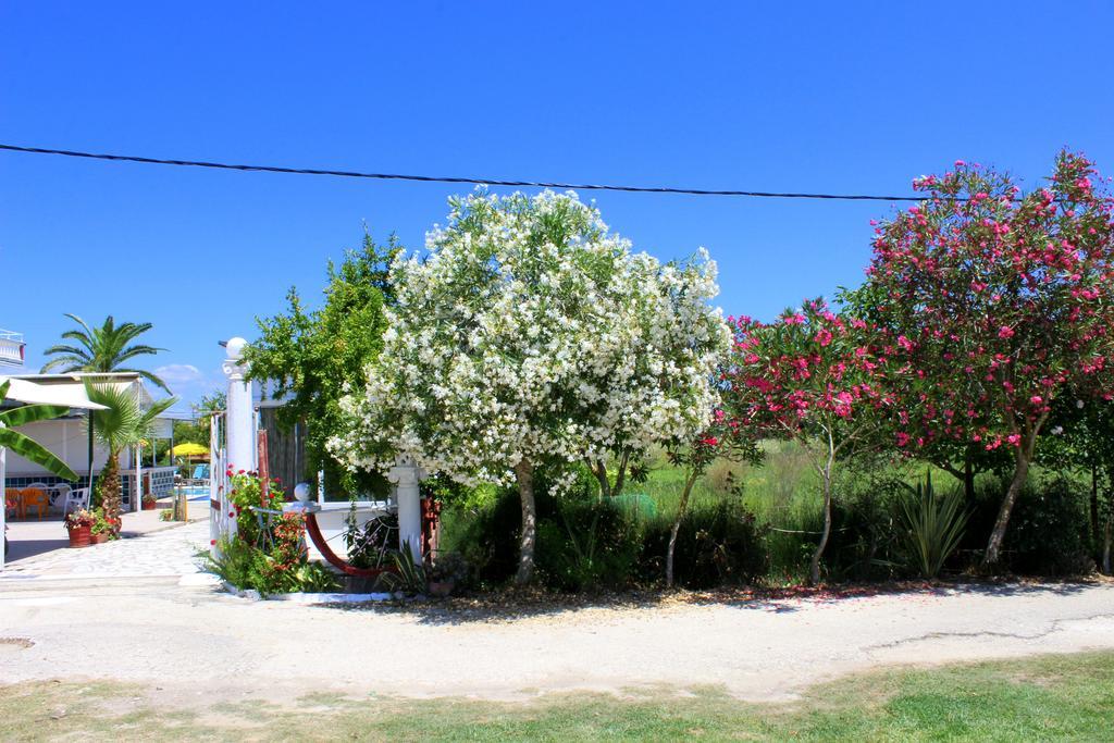 Crystal Apartment Kavos Bagian luar foto